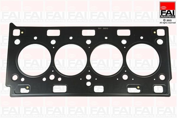 FAI AUTOPARTS Tiiviste, sylinterikansi HG896